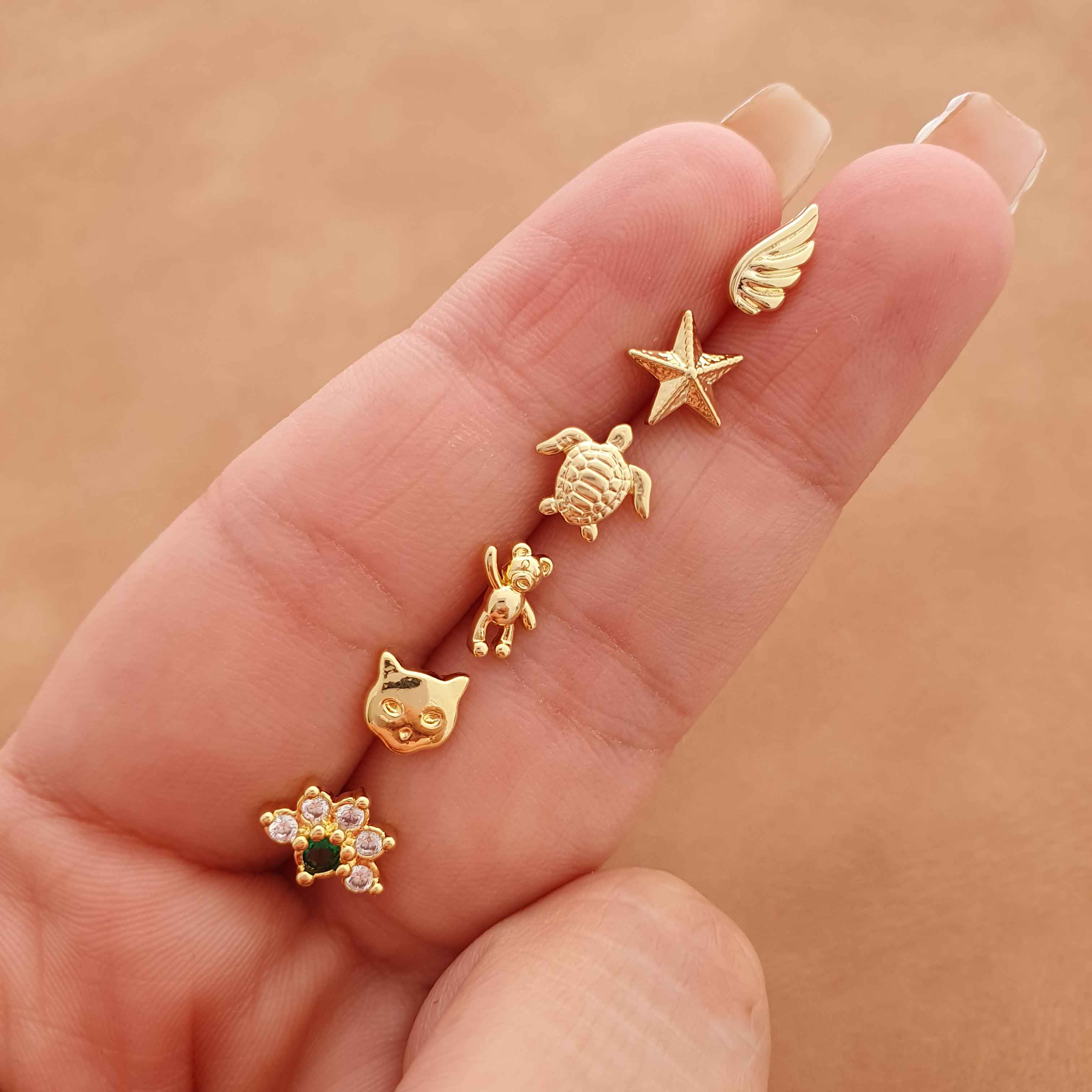 34162_2.jpg A Turtle