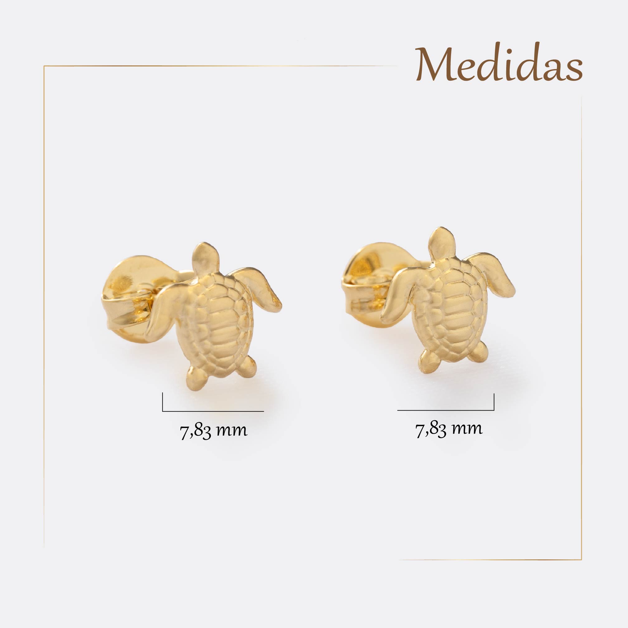 Medida2.jpg A Turtle